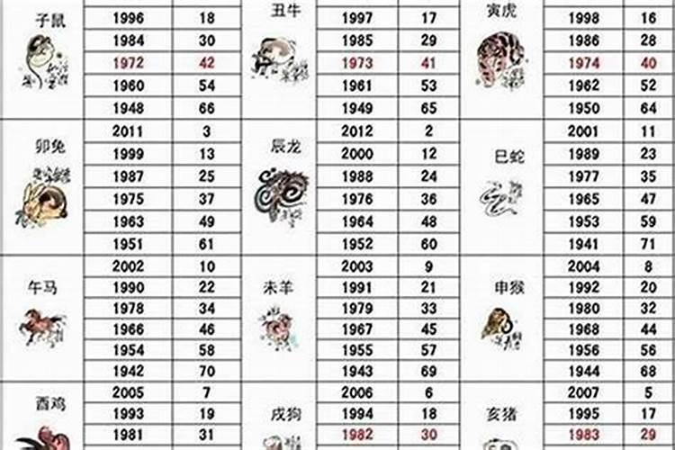 2026年生肖是属什么