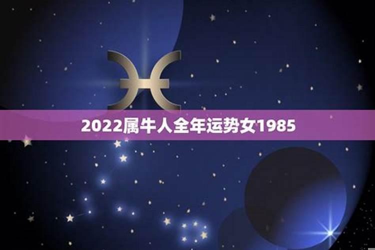 属牛人2022年全年运势