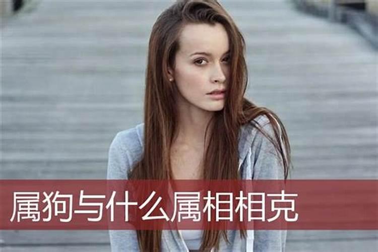 属狗的男孩和什么女孩的属性相克