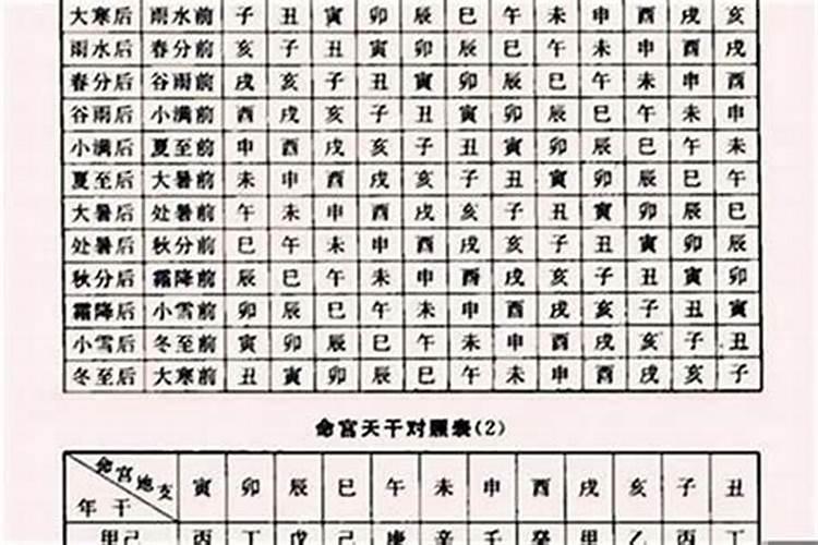 八字看日干还是日支