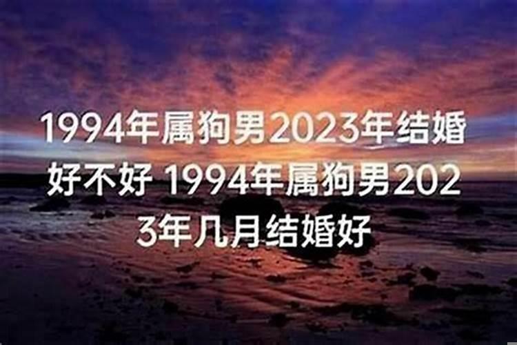 属狗2021年结婚好不好