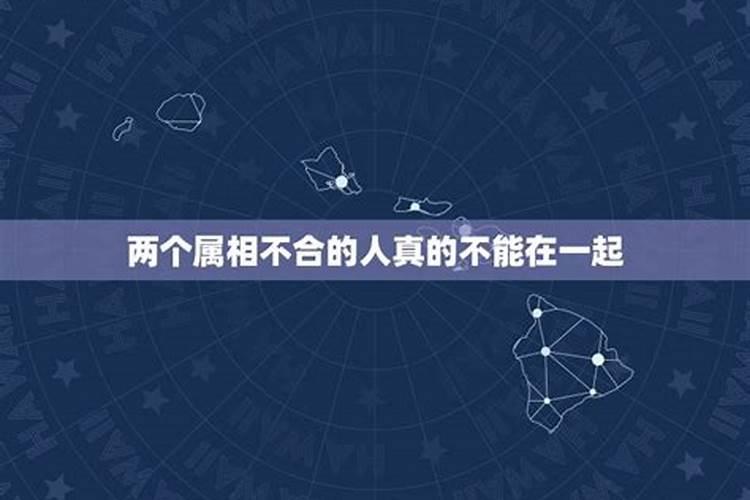 属相不合真的不能在一起吗科学吗