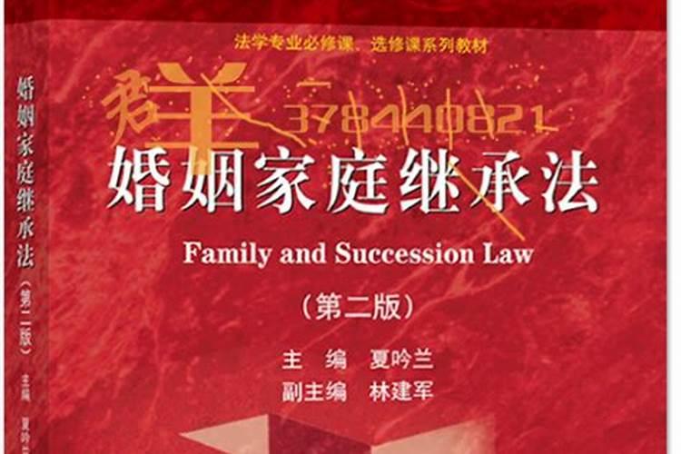 婚姻家庭继承法实用教程PDF