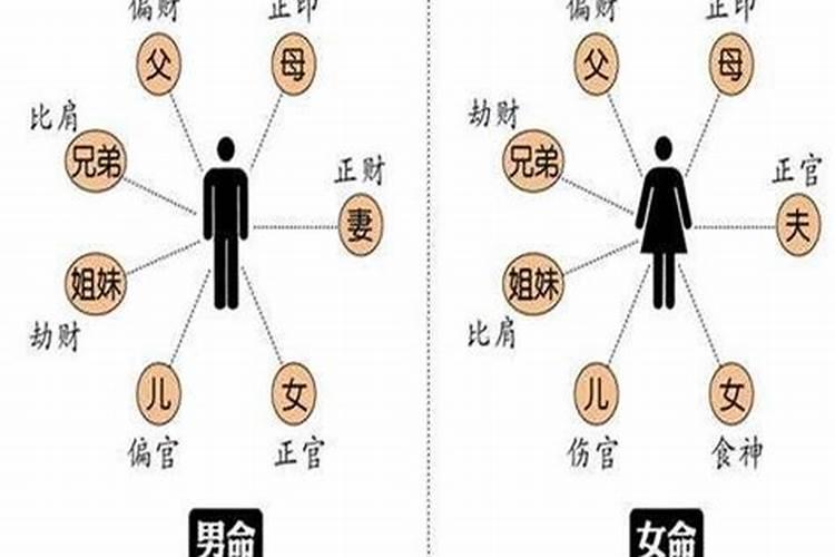 男龙女鼠婚配最终会怎么样