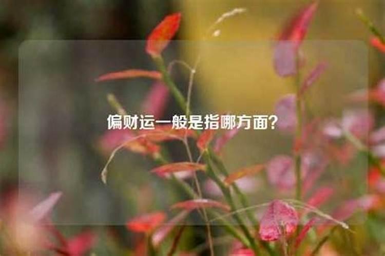 偏财运指什么