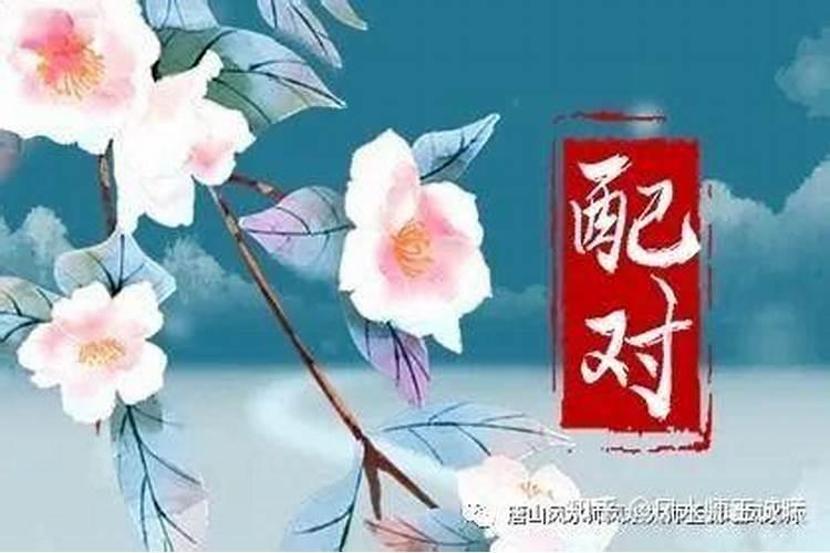 12生肖买房的风水楼层