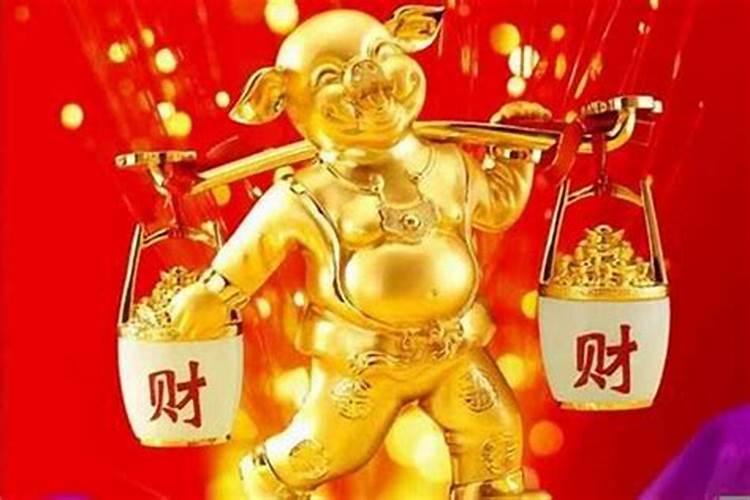 今年是我本命年好不好