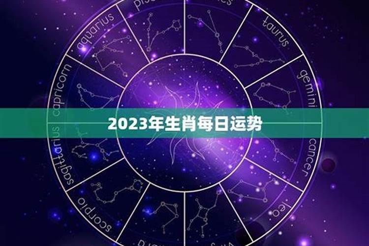 星座每日运势查询2023年