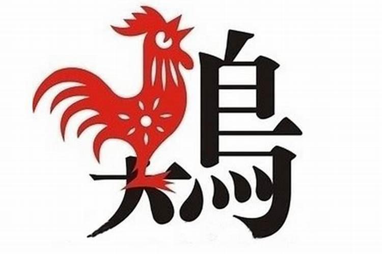 属鸡怎么能改变运气不好