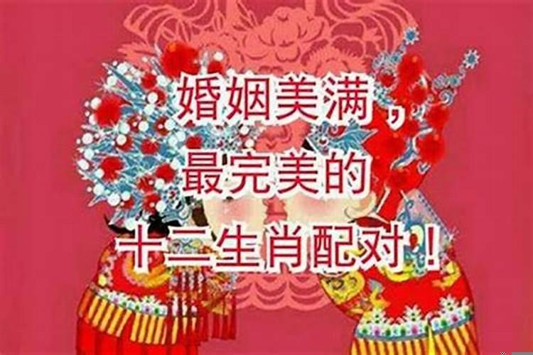 女方本命年能结婚吗属鼠人的婚姻