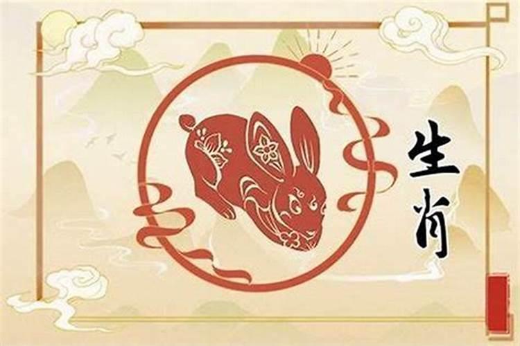 属兔人今年姻缘怎么样