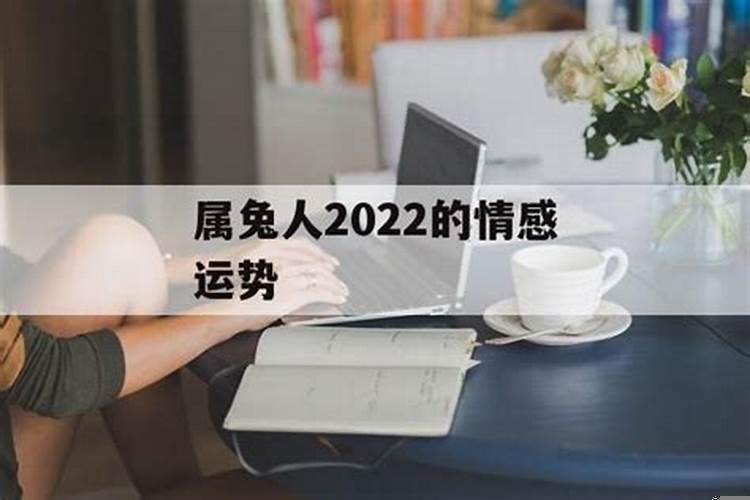 属兔人2022感情