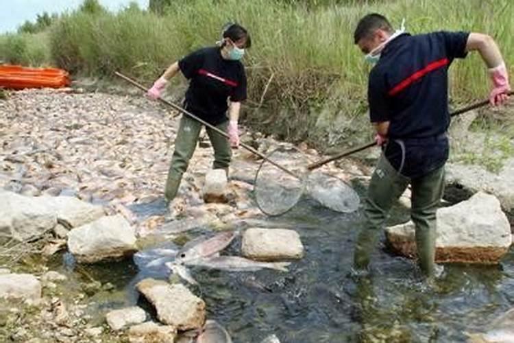 犯太岁怎样化解方法最好