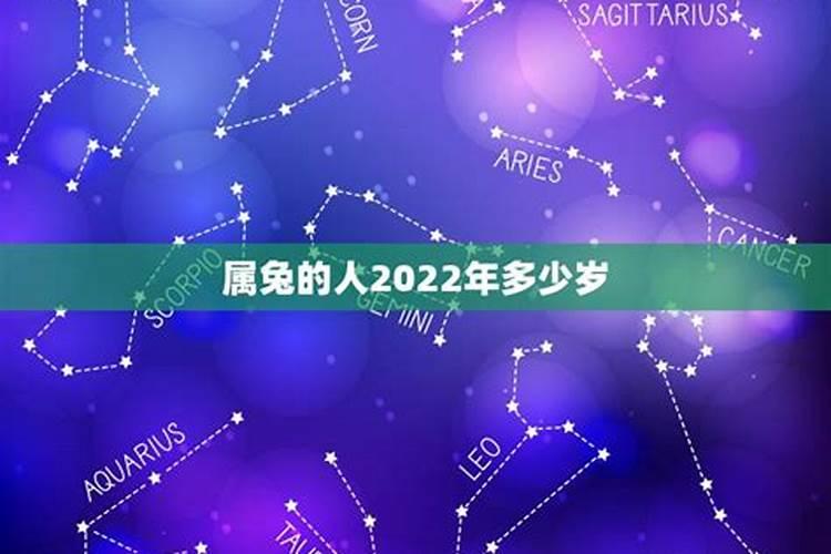 属兔的2022年多大岁数怎么样