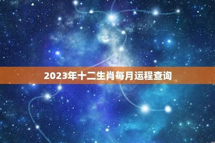 2023年运势12生肖运势