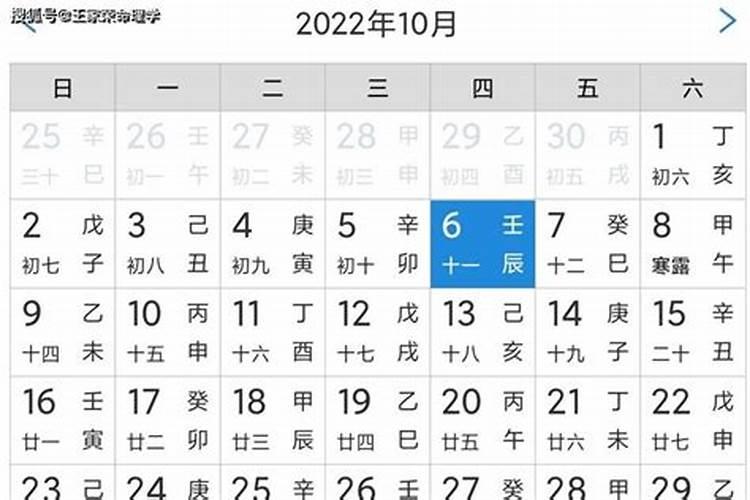 今日生肖运势2021年6月16日