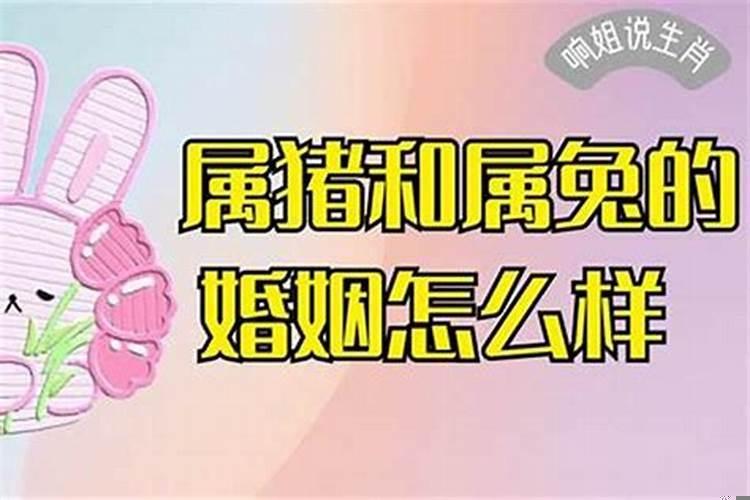 属兔命运与婚姻如何相处