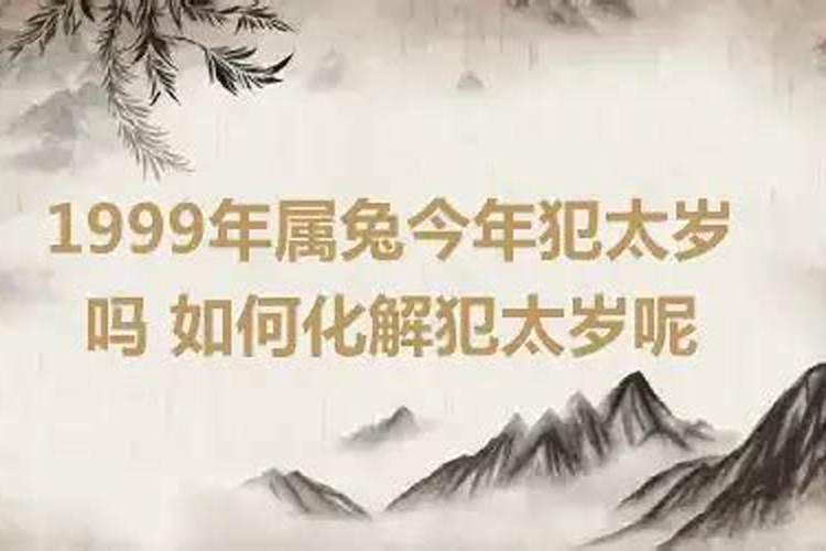 属兔今年犯太岁