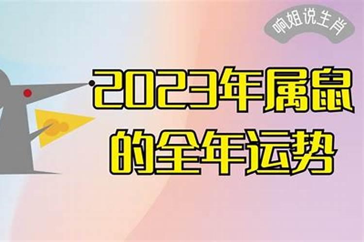 2023年属鼠的全年运势