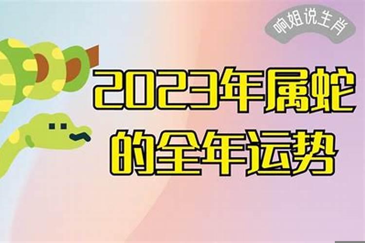 2023属蛇人全年运势如何