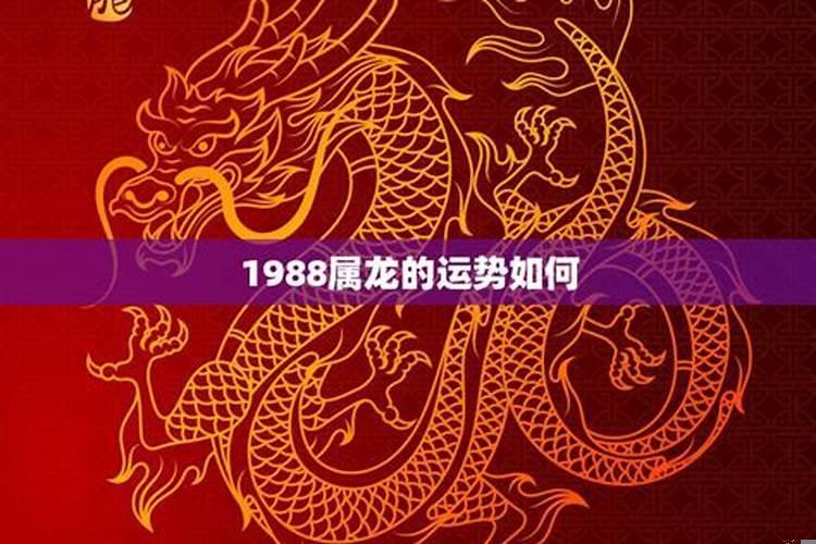 2023属龙人的运势如何