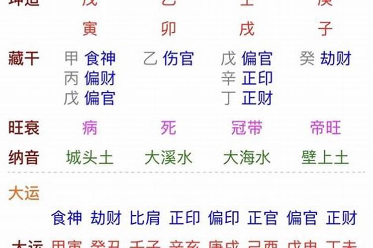 兔爸爸狗宝宝八字合吗