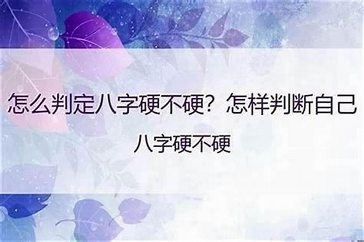 财神爷边上放什么花比较好的