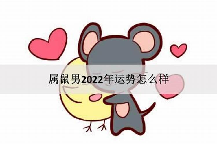 属鼠男2022年运势及运程