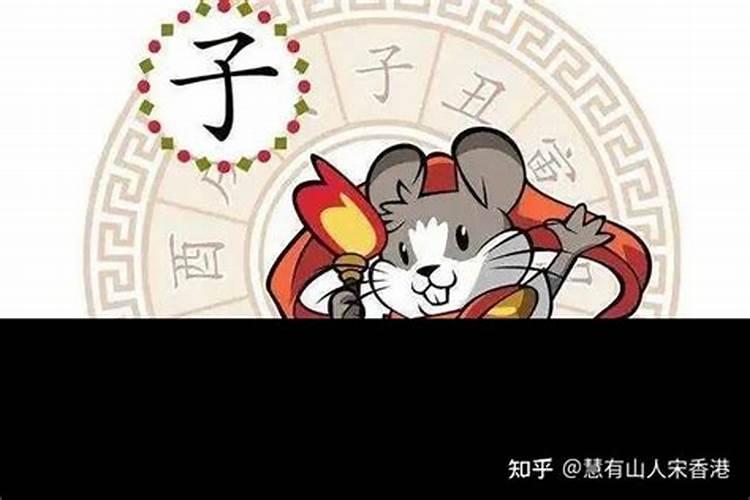 属鼠2023年运势详解