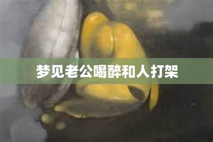 梦见喝醉了打架是什么意思啊周公解梦