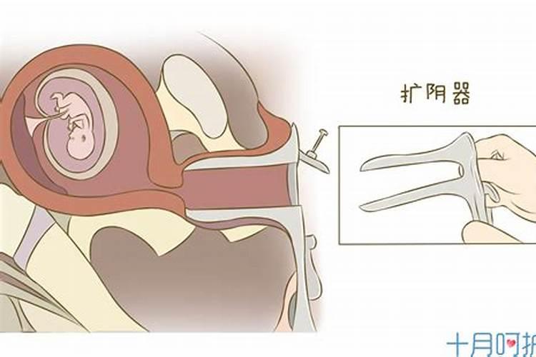 清明梦有科学依据吗