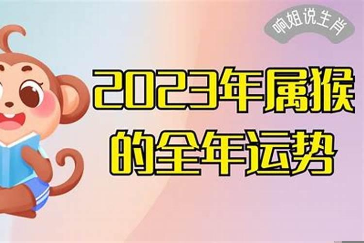 2023年属猴人的全年运势如何呢