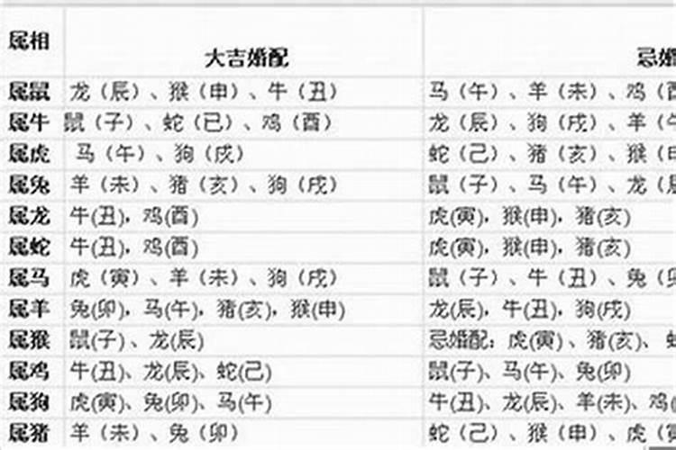 四川太岁生物科技有限公司