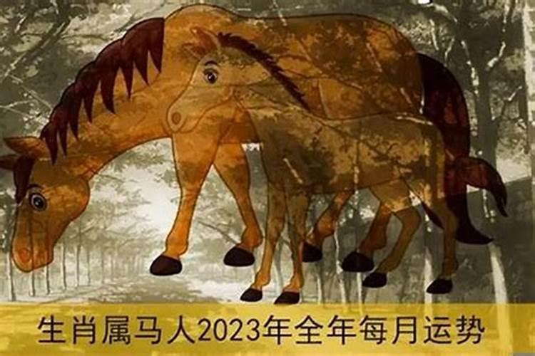 2023年属马人的每月运势