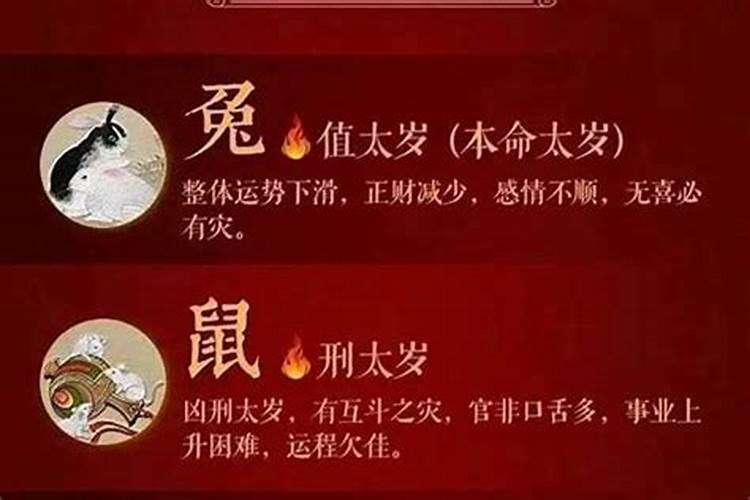 生肖牛今年犯什么太岁