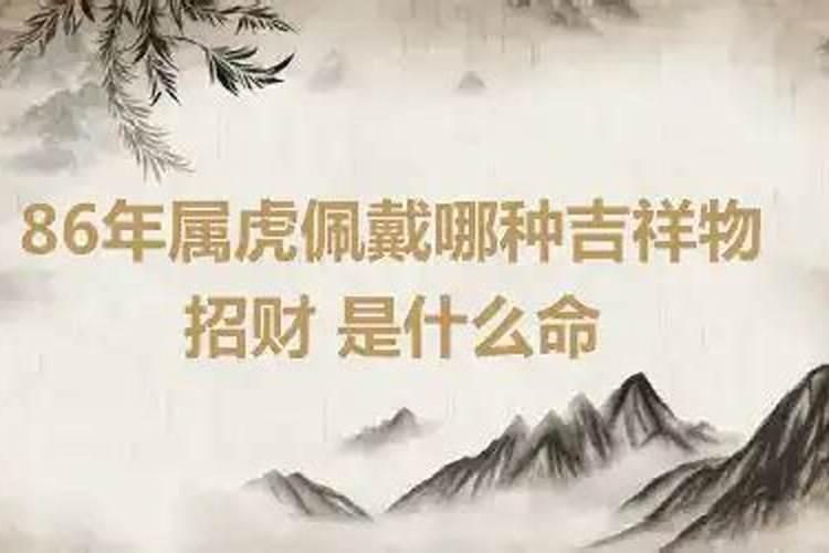 86年属虎戴什么吉祥物