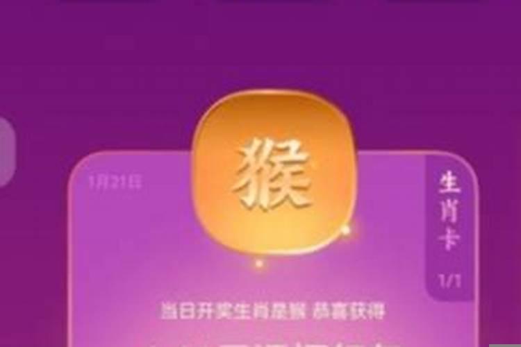 今天生肖卡可能开什么