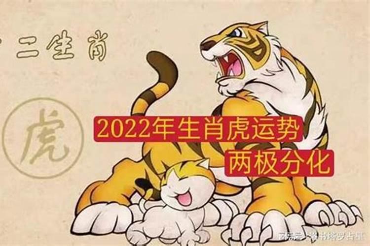 属虎的明年运势2022年
