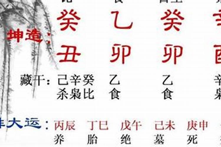 八字三合食伤代表什么