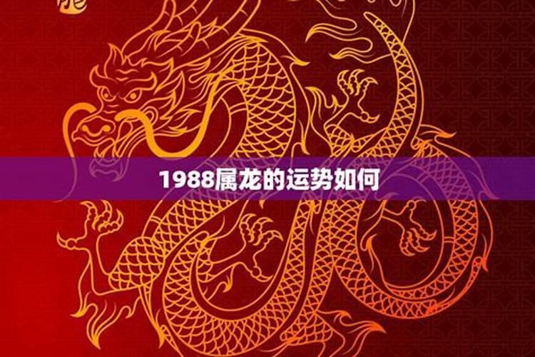 2023龙人运势运程1988年的龙适合色