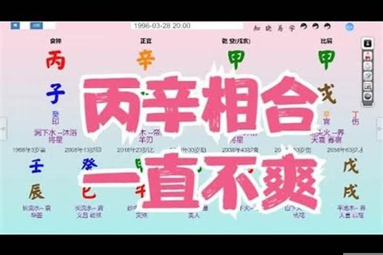 合相算八字是什么生肖