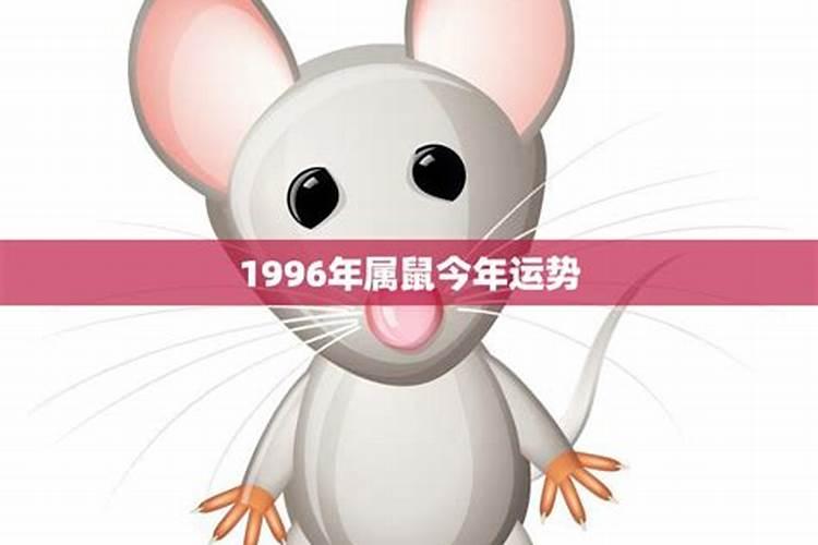 1996年生肖鼠今年运势