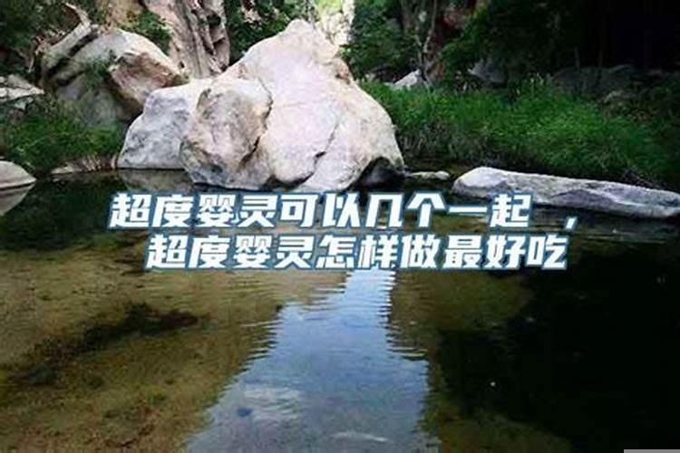 阳气极旺的事童子命吗