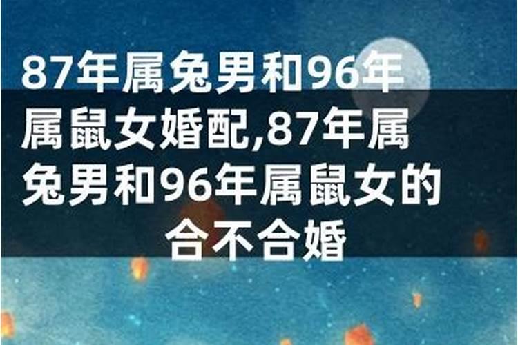 兔年跟鼠年八字合不合