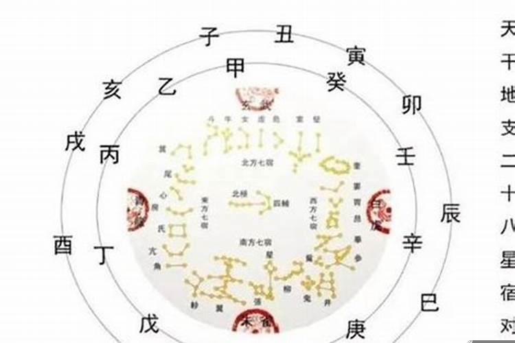 八字极弱怎么取用神