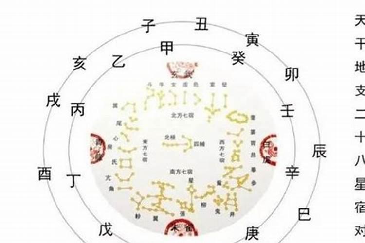 八字太弱与极弱的区别