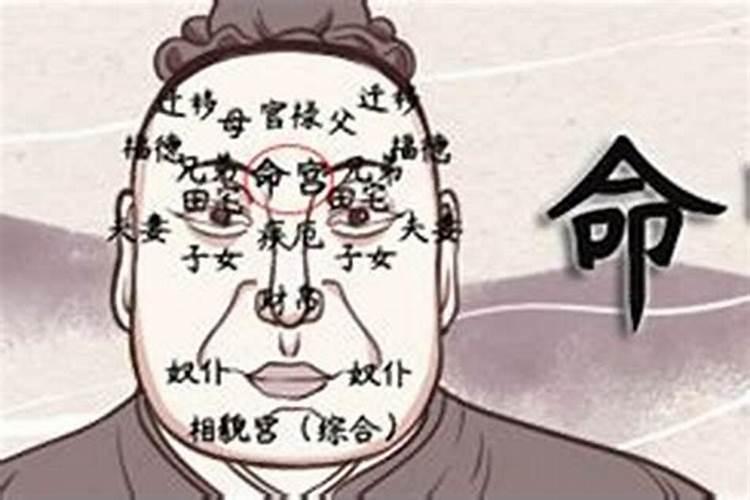 八字中看有几个子女怎么看