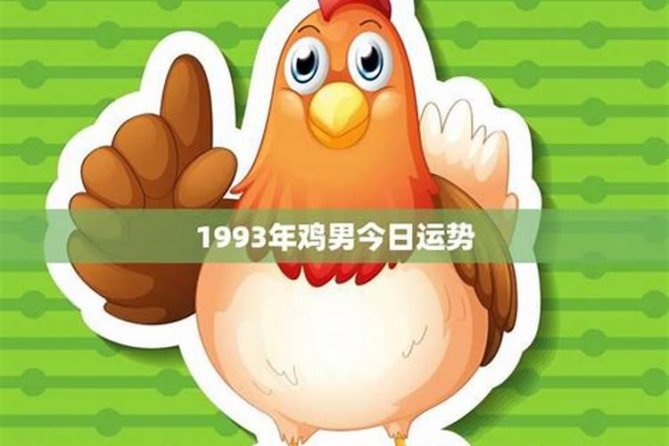 93年鸡2023年运势如何