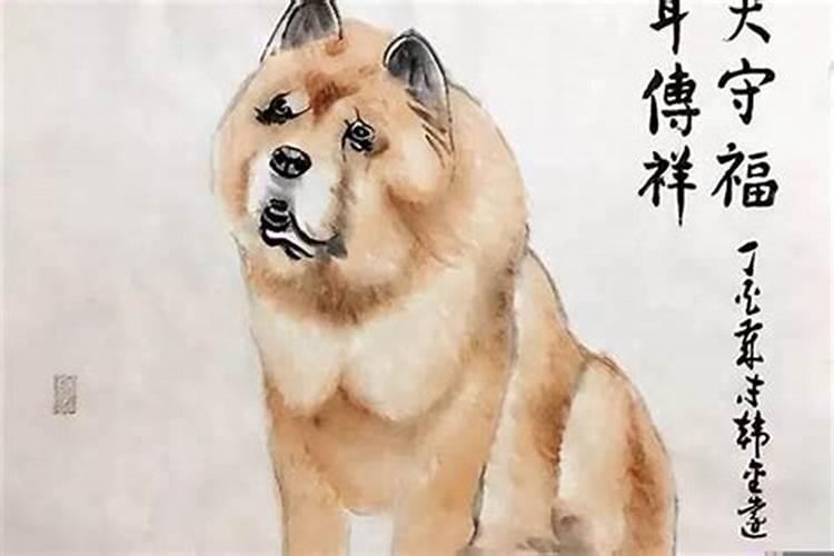 生肖猴犯太岁