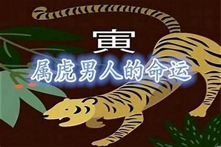 1998属虎女今年的运势